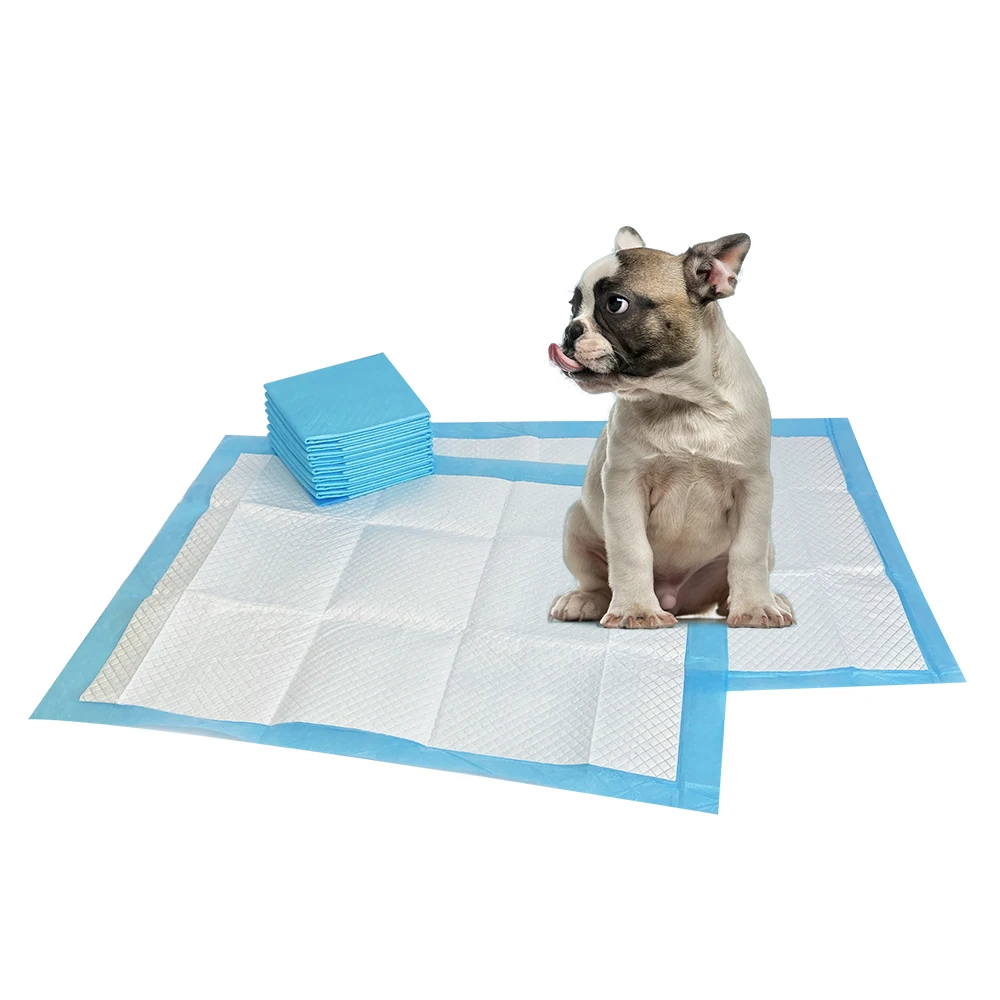 2023 Top Seller Free Samples Pet Accessories Disposable Pet Pad 60x90 Training Pee Pads For Dog