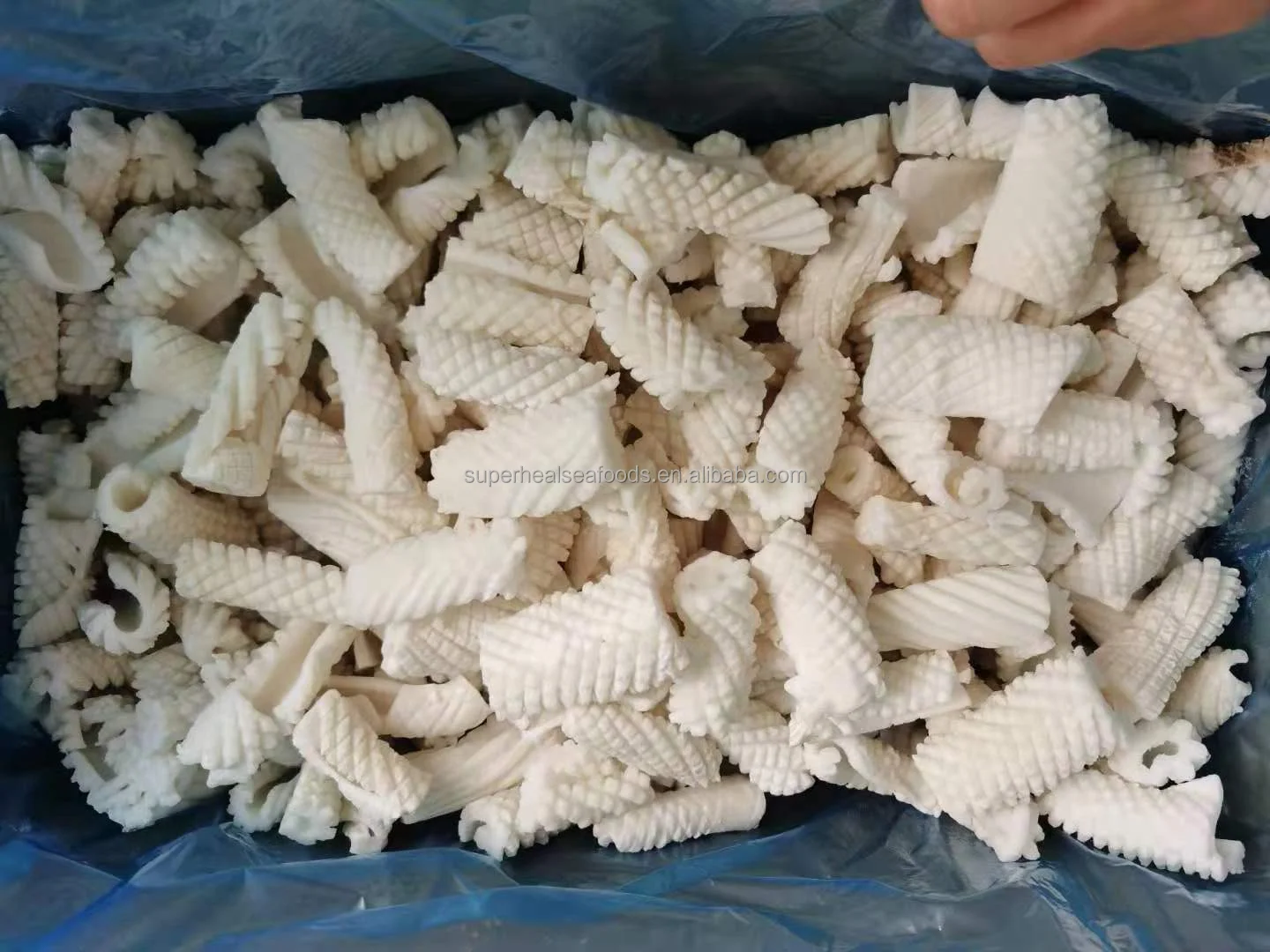 Eu Standard Calamari Cut Size 4-6 Cm Iqf Frozen Squid Flower