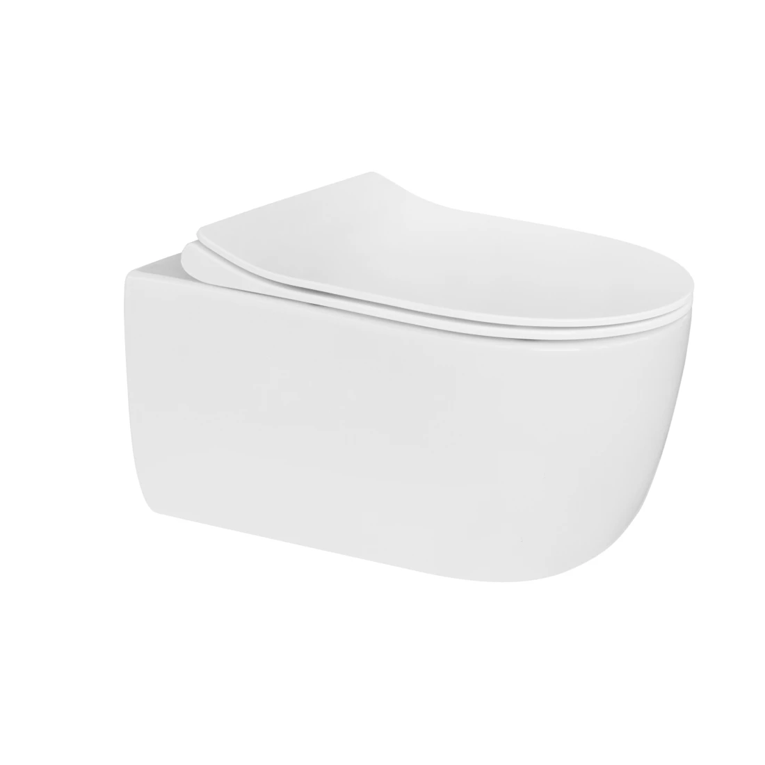 Wall-hung Toilet Style Washdown Ceramic Wholesale Customization European Water Saving Wall Mounted Dual Flush 3/4.5L Modern