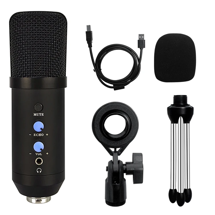 Bm 700 Mic Home Computer Condenser Gaming Pc Mini USB MicrophonUsb Mute Microphone with ECHO and VOL Gain