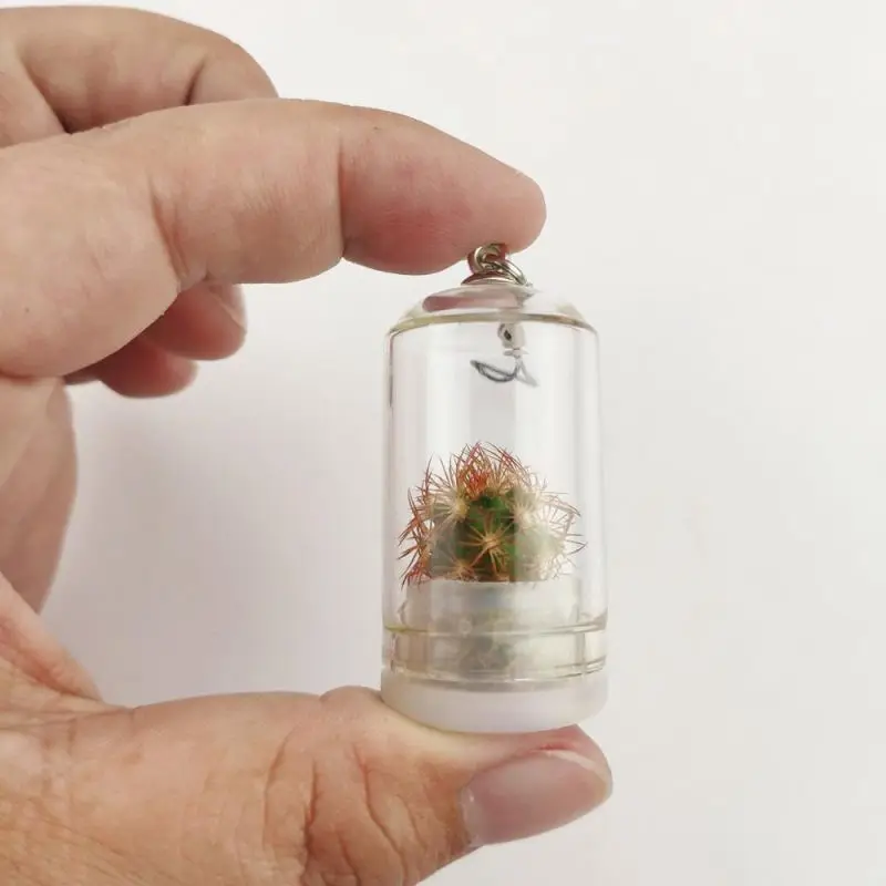 creative promotional real mini pet plant cactus keychain and keyring