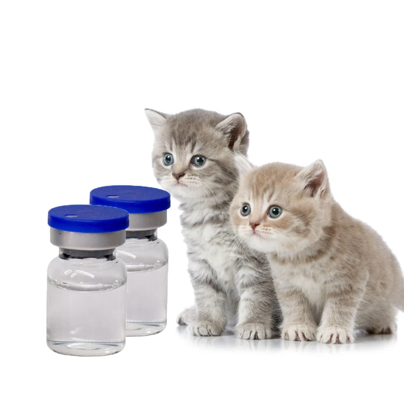 
Top Quality Injection Vaterinary Medicine Fip GS-441524 