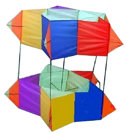 Factory Direct Big 3D Kite For Flying