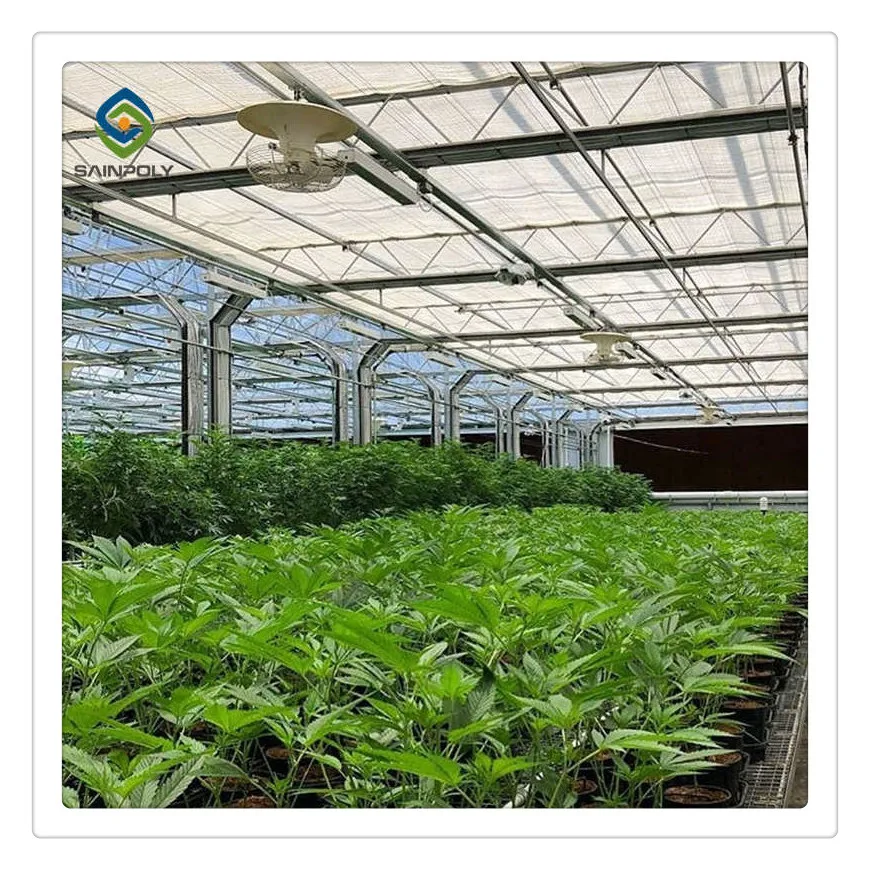 Бюджетный свет лишения плотные теплиц для сельского хозяйства теплицы