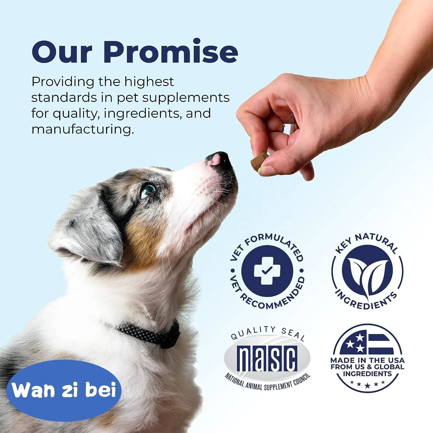 Glandex Anal Gland Soft Chew Treats with Pumpkin for Dogs Digestive Enzymes - Pumpkin Supplement