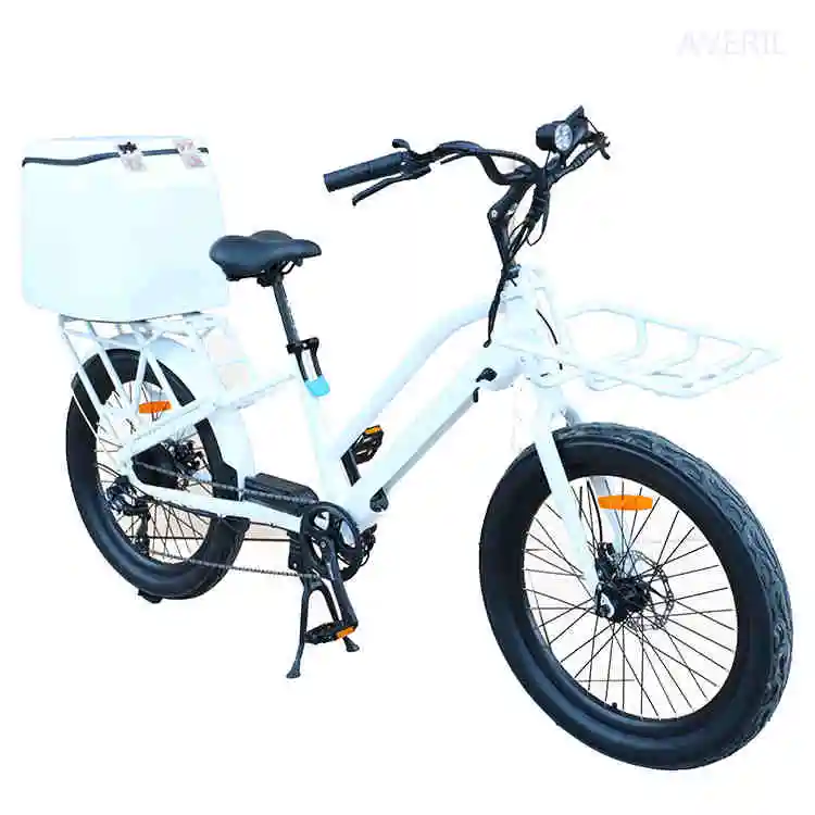 2023 New Bike 2 Wheel Removable Battery Pedal 500w Fat Tire Cargo High Quality with Good Price