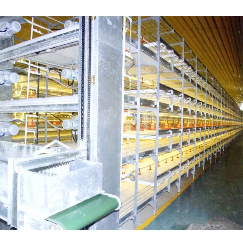 Sell H - type automatic broiler cage battery cage galvanized material new poultry farm breeding equipment