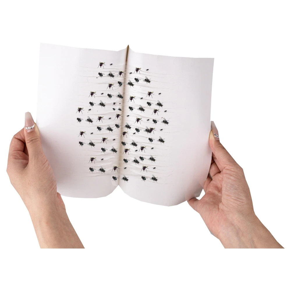 The Most Popular Strong and High Quality Wholesale Fly Sticking Board in 2023, Attracting Flies, Large Size New and Thickened