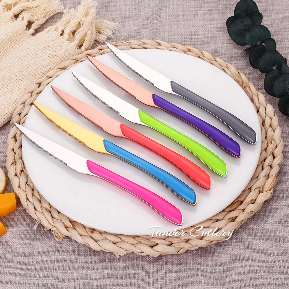 Stainless Steel Plastic Cutlery Set  Home Hotel Flatware ABS Handle Silverware Cutlery With Color Handles
