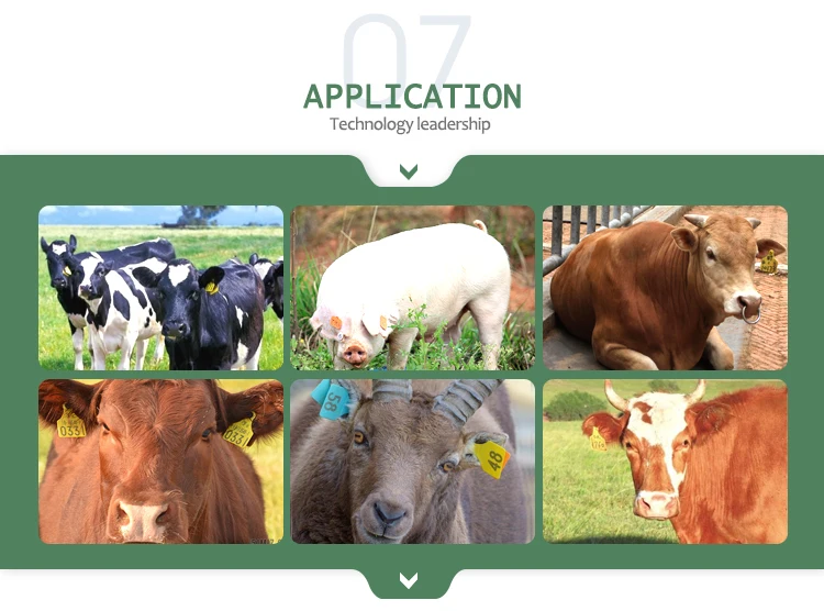 YDES007 напечатанные бирки для крупного рогатого скота и свиных ушей с серийным номером домашнего