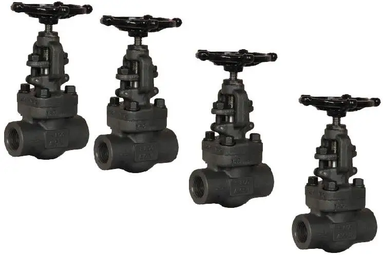 800 Class Socket Weld Forged Steel A105 F304 F316 Globe Valve