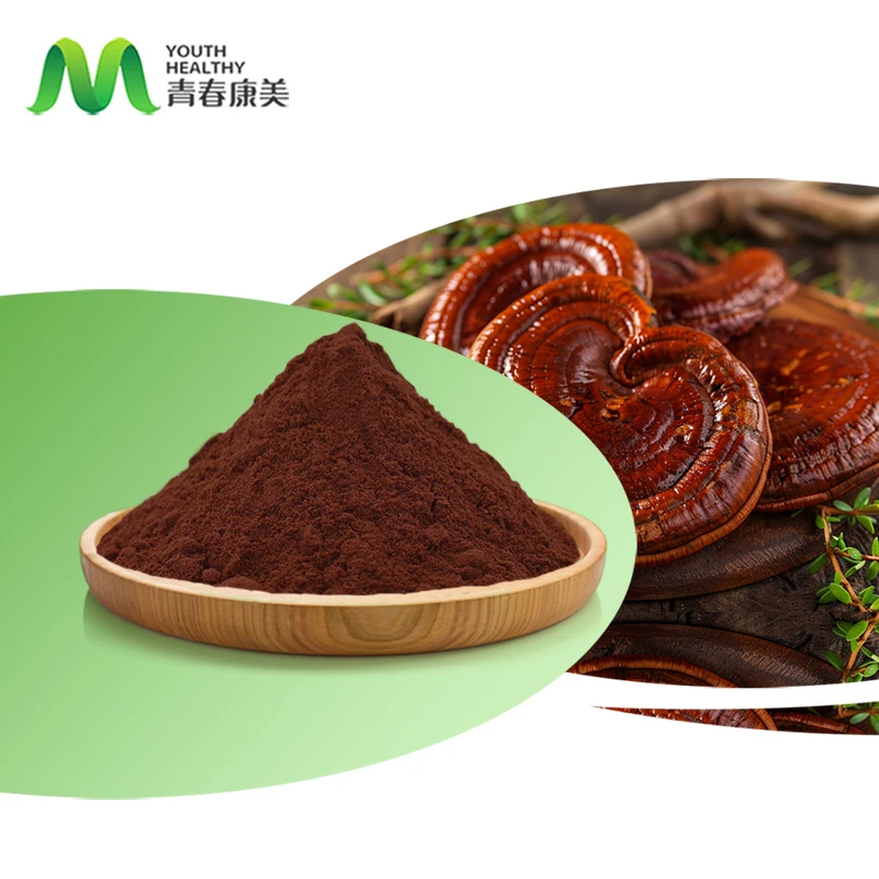 Reishi Mushroom Extract USDA Organic Wild Reishi Mushroom Powder Extract Lucid Ganoderma Extract