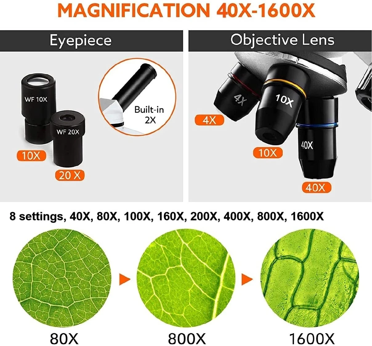 Electron Biology Microscope 1600X Led light  6 Color Filter Slides cell Observation Microscope Optical microscope digital micros