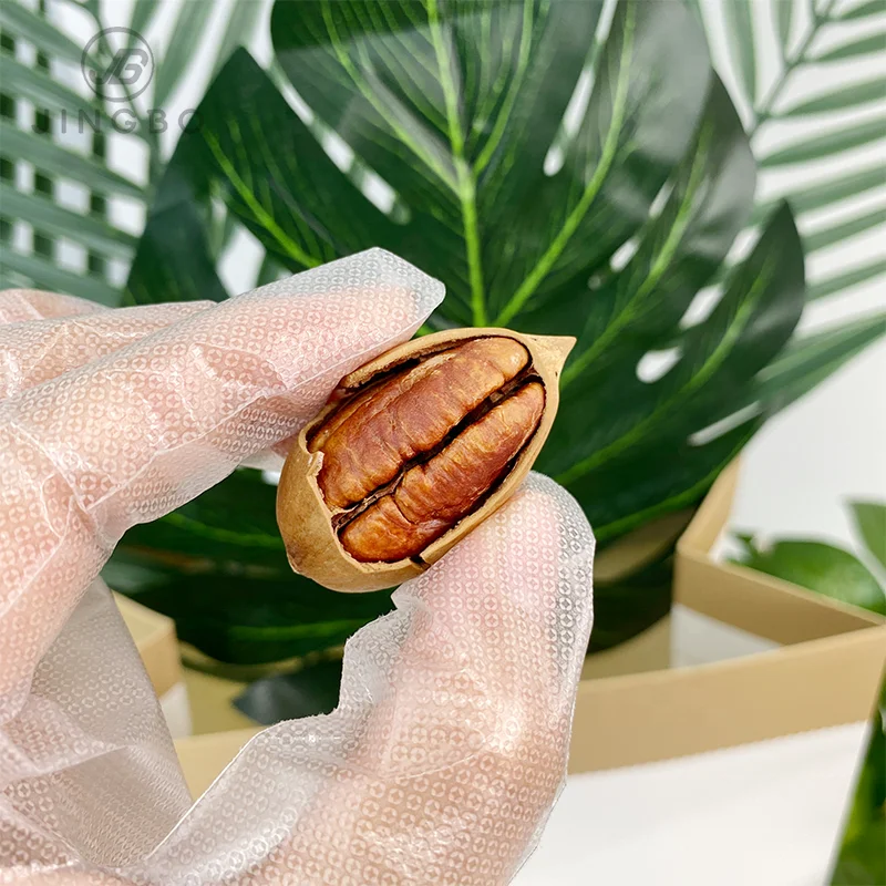 Wholesale Price Factory Direct Hot Sale Medium Dried Pecan nuts  Freshly Picked Bulk Pecan nuts for Snack Food.