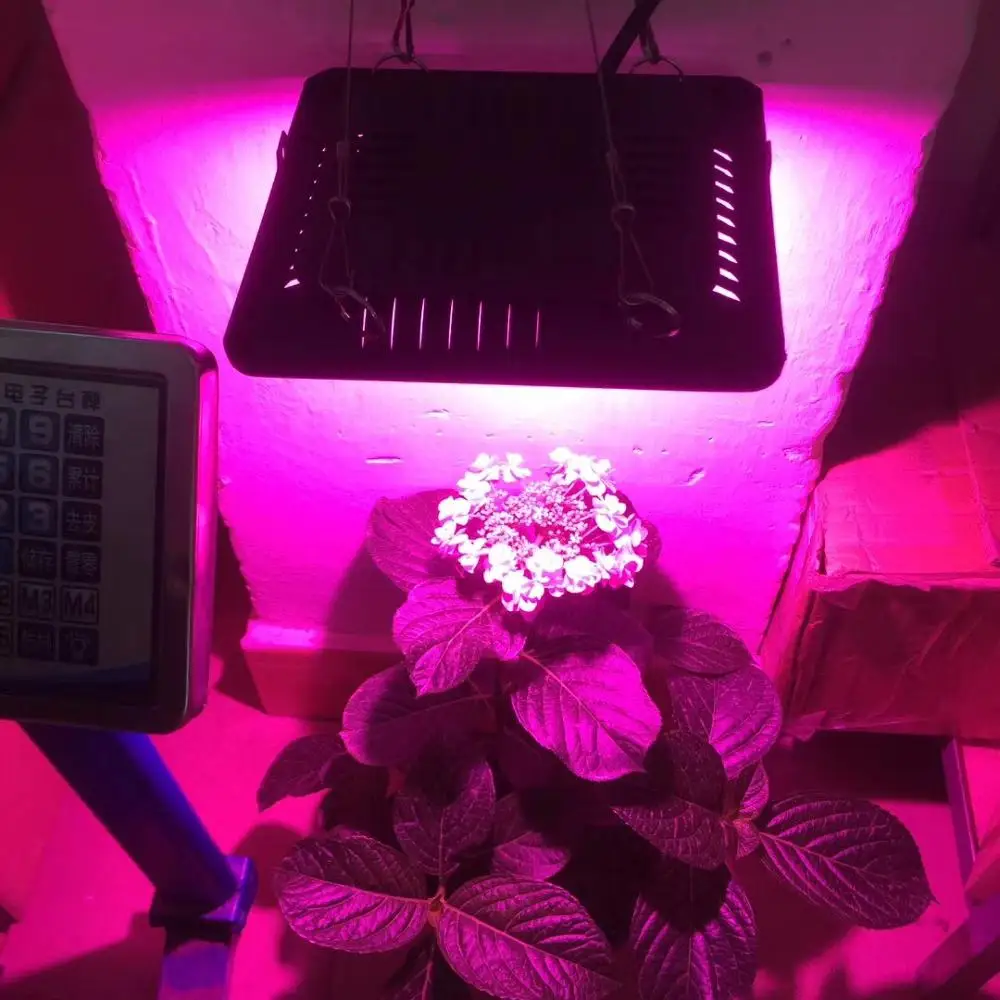 Latest Hot Selling full spectrum 50w 100w 150w epistar led grow light cob 50w led chip