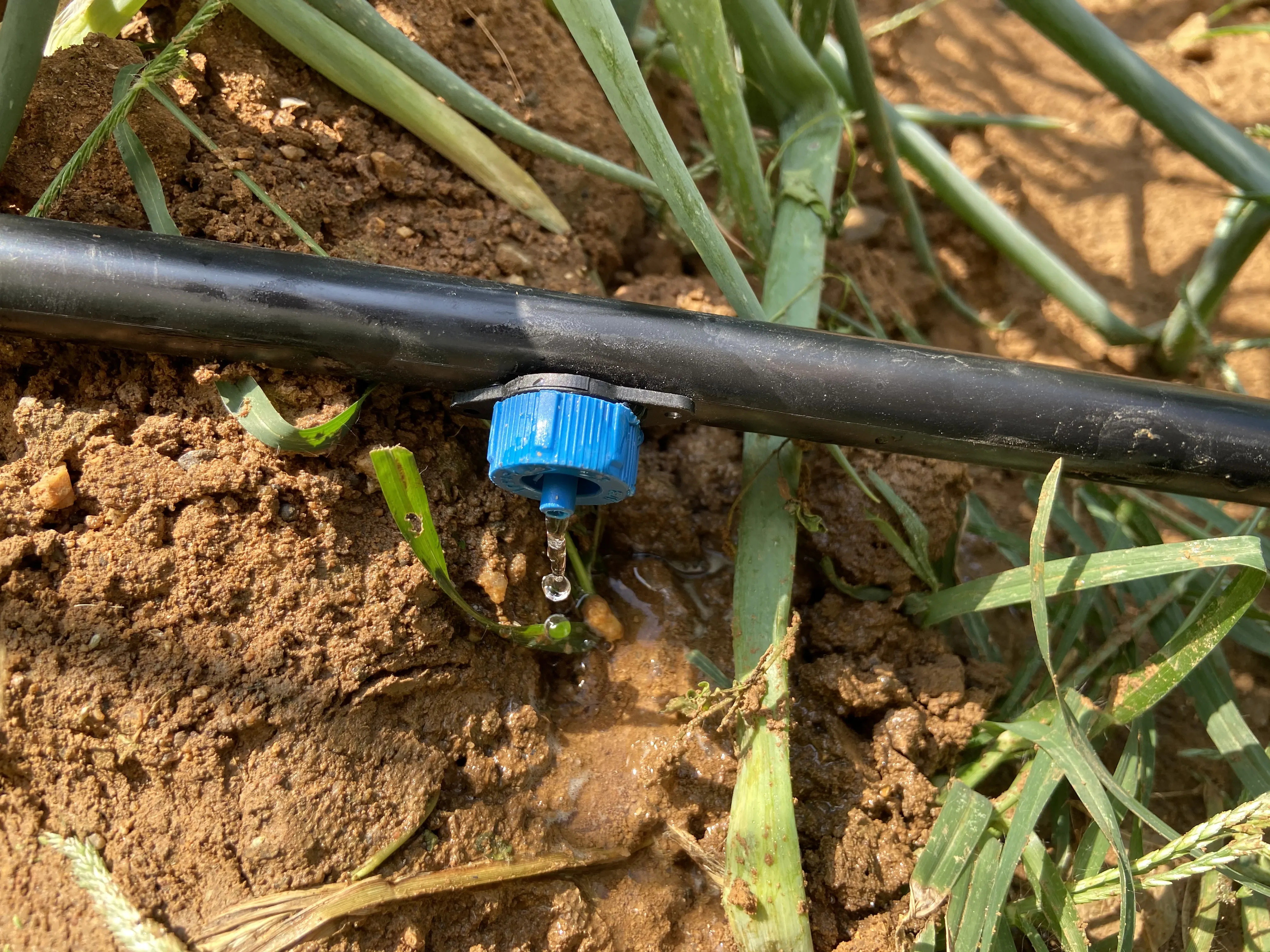 4L/8L Family Garden drip irrigation water dripper Pressure compensation dripper