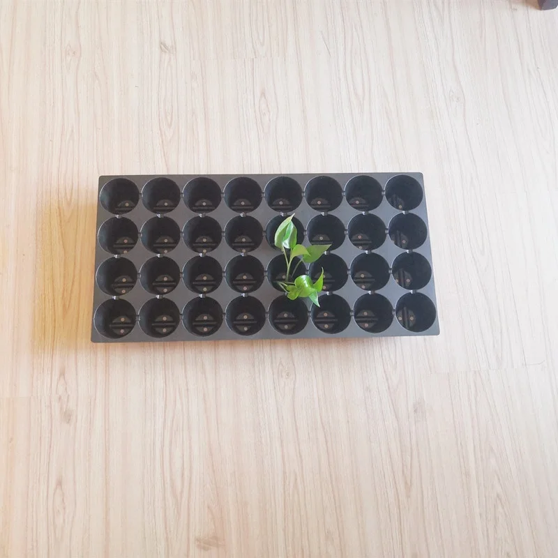 12 20 32 50 60 72  128 200 288 Cells PS Plastic Seed Starting Grow Germination Tray for Greenhouse Vegetables Nursery