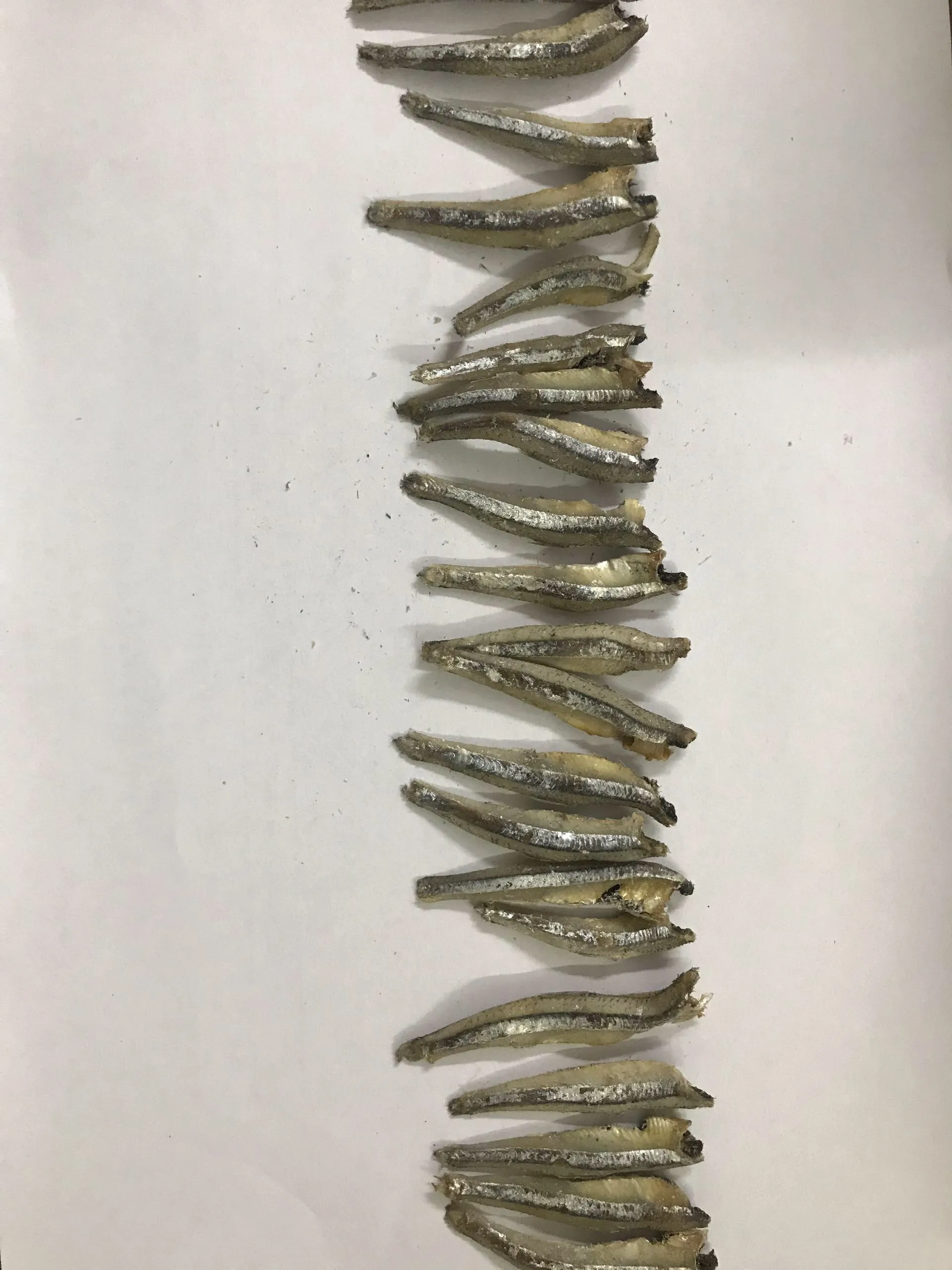 Viet Nam Price Anchovy Fish//Ms KIMMY +84 947032939