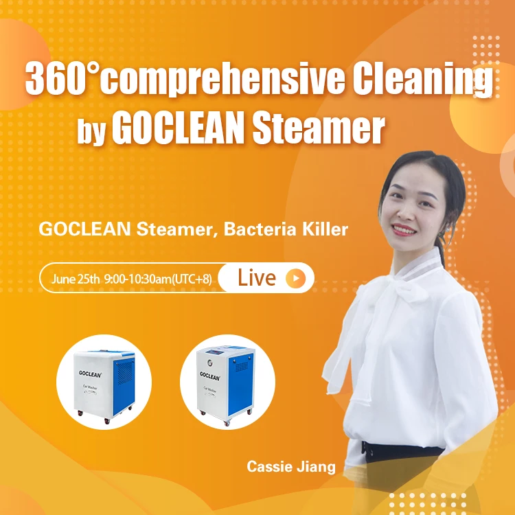 Mobile High Pressure wet and dry steam Car Washing Cleaner Multi-functional decontamination Steam Cleaning Machine Washer