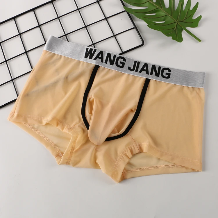 see through gays man elephant nose underwear sexy mesh boxers briefs wholesale