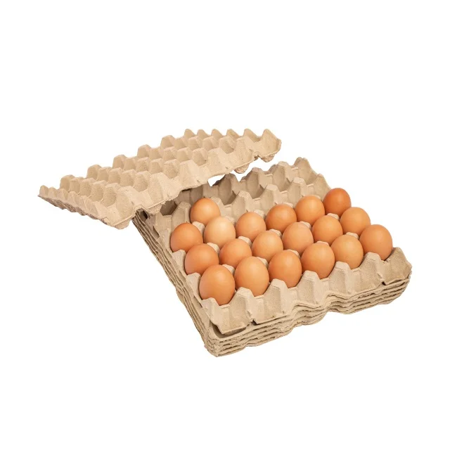 Disposable Paper Pulp Bulk Egg Flats Tray for 30 Cells Chicken Eggs Durable Reusable Containers Accept Labels