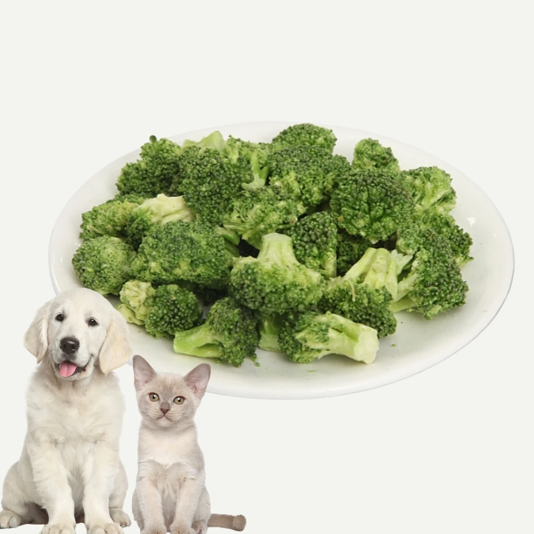 Wholesale Dog treats cat snacks Pet Freeze-Dried vegetables and fruits Freeze Dry broccoli