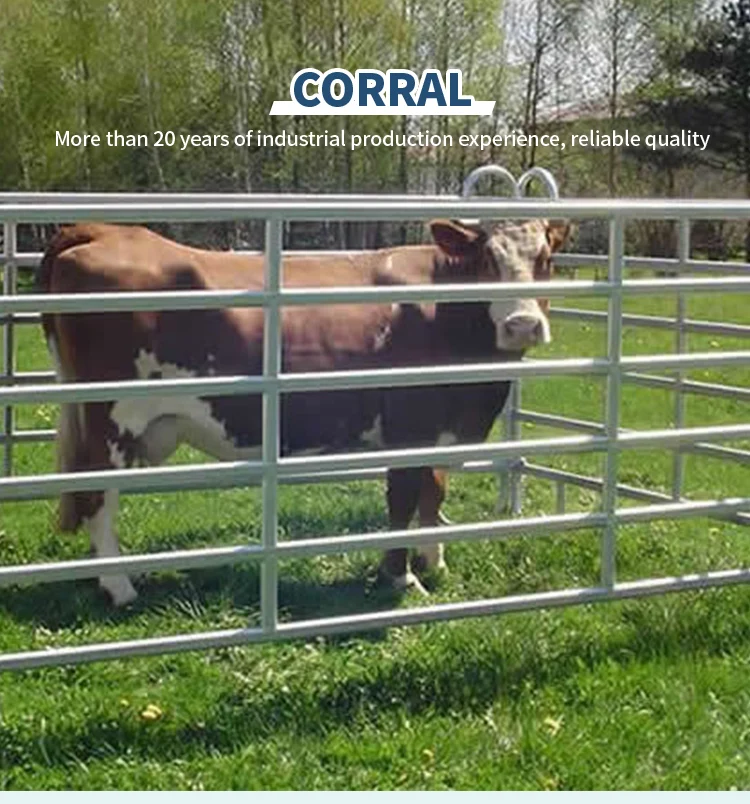 Australian cattle yard panel hot dipped galvanized sheep cow farm livestock round pipe cattle panel for sale