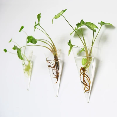 Wall Planter Propagation Stations Hanging Glass Terrariums Vase Container for Propagating Hydroponic Plants Home Office Living