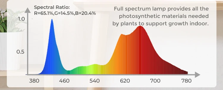 RY desktop hydroponics plant bonsai flower pot indoor garden with grow light hydroponic flower pot