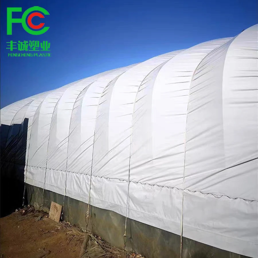 Agricultural greenhouse 12m 250micron premium silo sheeting white/black panda film for mushroom