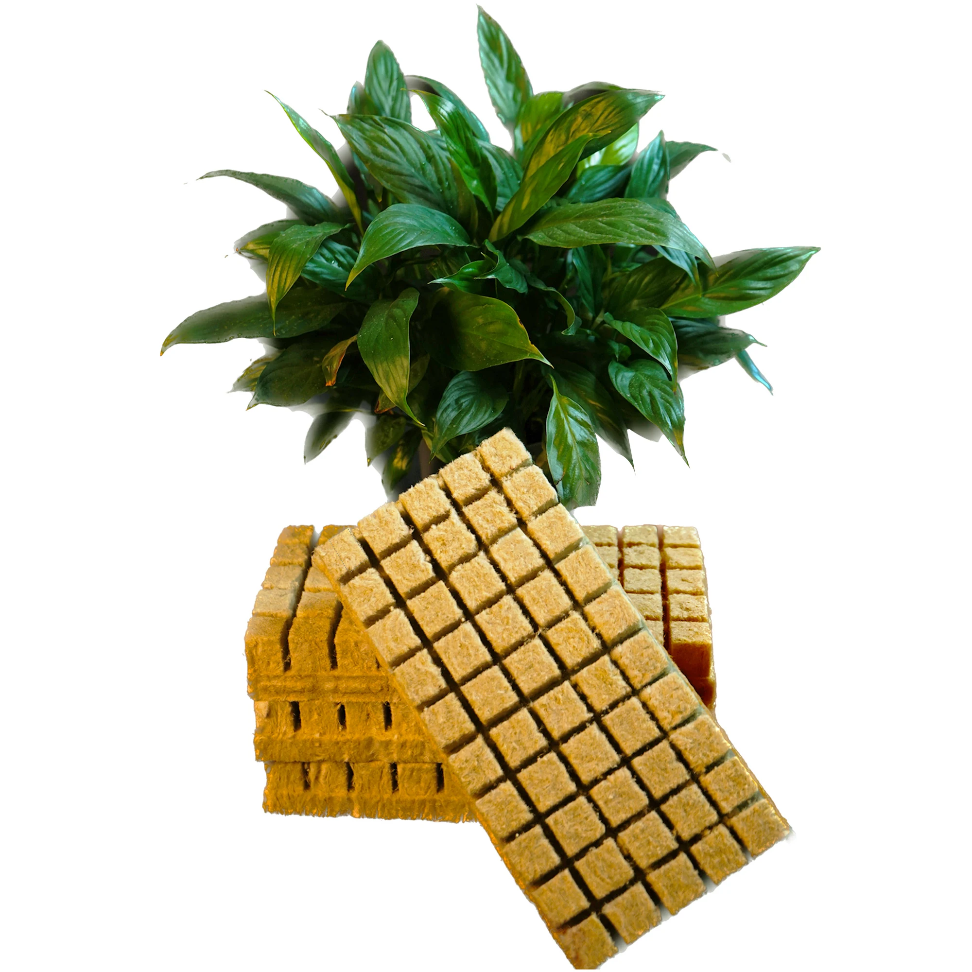 2024 Hydroponic Substrate Hemp Growing Soil Stone Wool