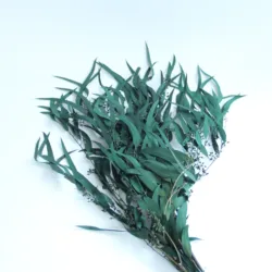 Small Preserved Long Stem Dried Flowers Eucalyptus Leaves Fruit Millet Fruit Fine Leaf For Home Party Festival Decoration