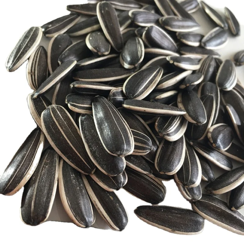 Delicious bulk sunflower seeds high quality organic hot sell delicious all kinds of sunflower seeds