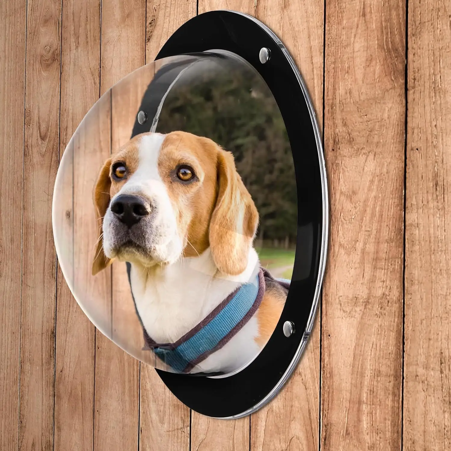 Custom Clear Hemispherical Dog Fence View Window Plastic Dog Peek Window Acrylic Pet House Hemisphere Dome