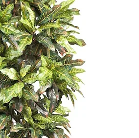 Wholesale High Quality Artificial Green Decorative Tree PE PVC Material Simulation Croton Artificial Plant Artificial Tree