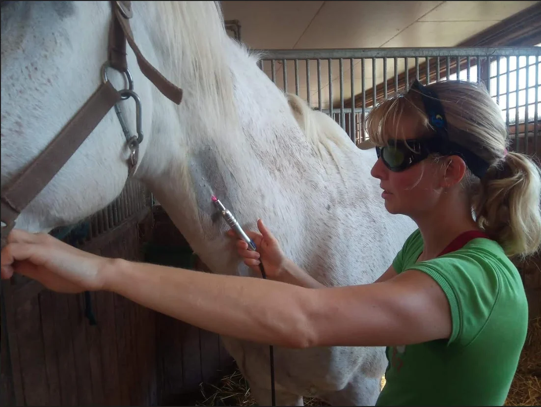 2022 class 4 medical laser veterinary laser therapy mls horse treatment wound pain diagnostic