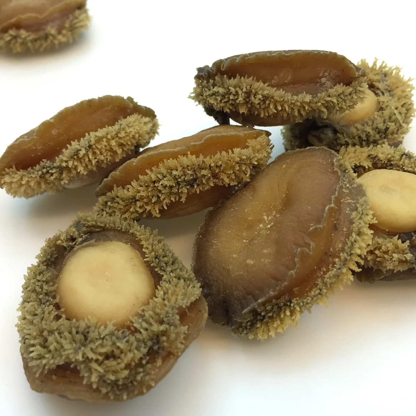 Hot-selling Nutritious Fresh Live Shellfish Dried