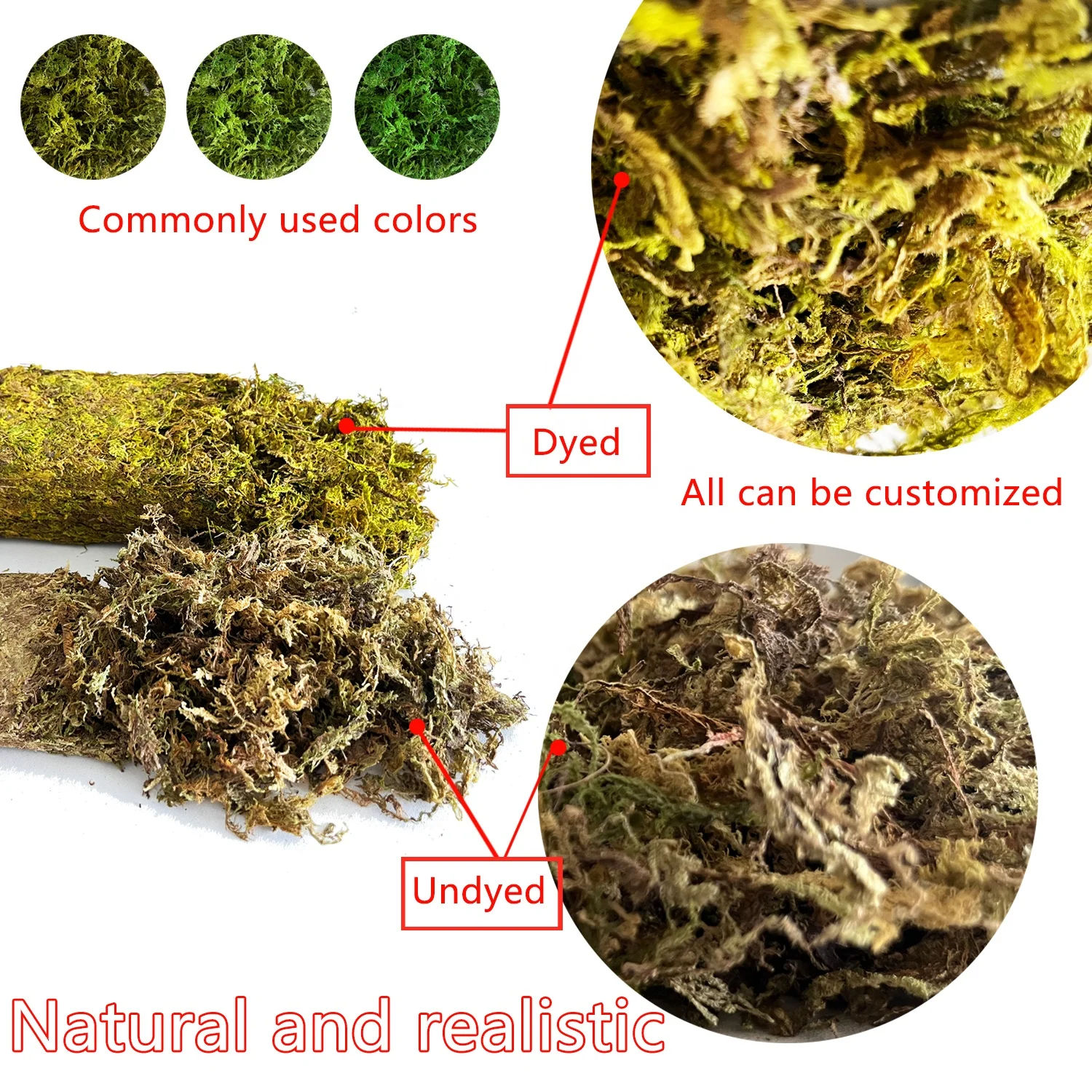 Wholesale Eco-Friendly Premium Natural Dried Green Sphagnum Moss Long Fiber Green Forest Moss For Reptile Plants