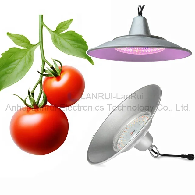 Greenhouse planting Grapes Growing  50W Red Blue Light Photosynthesis Waterproof Aluminium UFO LED Grow Light  Flowers  Fruit