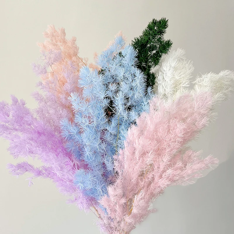 Wholesale flowers Preserved Ming Fern preserved Leaves Penglai Pine Asparagus fern Preserved Ming fern Asparagus