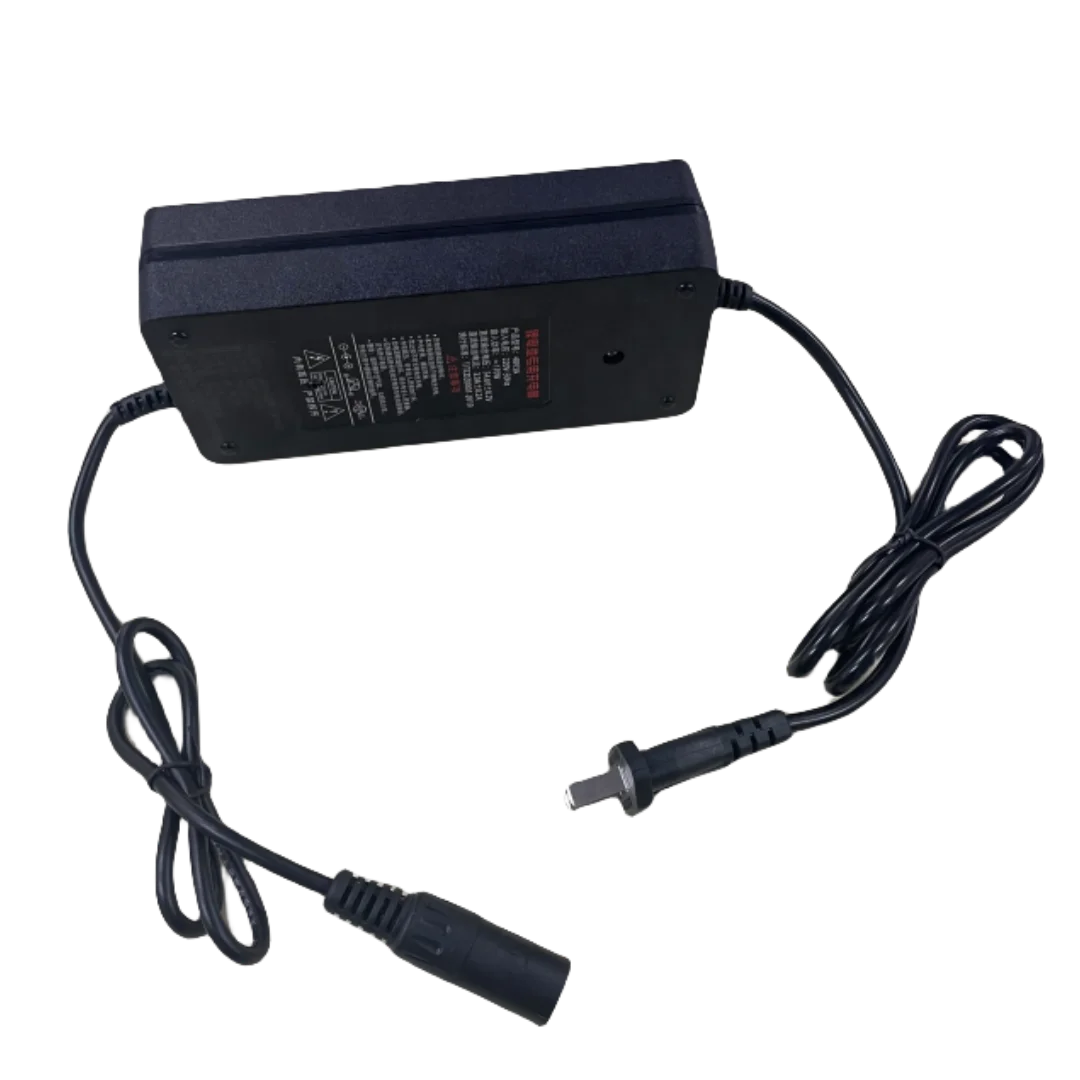 Lithium Battery Charger 48v for Motorcycle Scooter Factory Price 48V3A Charger