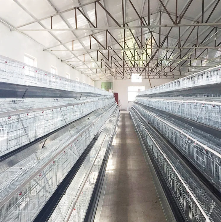 Farm Chicken Cage Wood Chicken Cage Coops Plastic Transport Chicken Cages