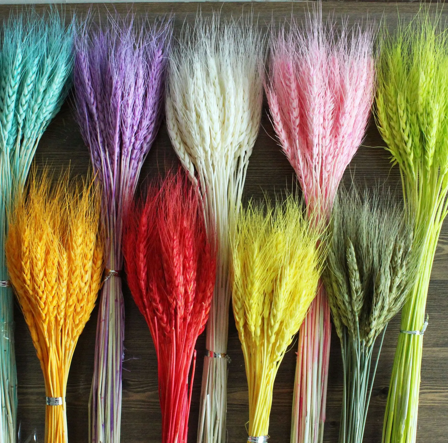 Wholesale Dried Wheat Sheaves wheat Stalks Natural Ear of Wheat Grain Flowers Dry Grass Bunch for Pampas grass Arrangements