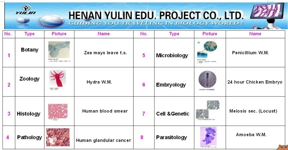 prepared microscope slides.jpg