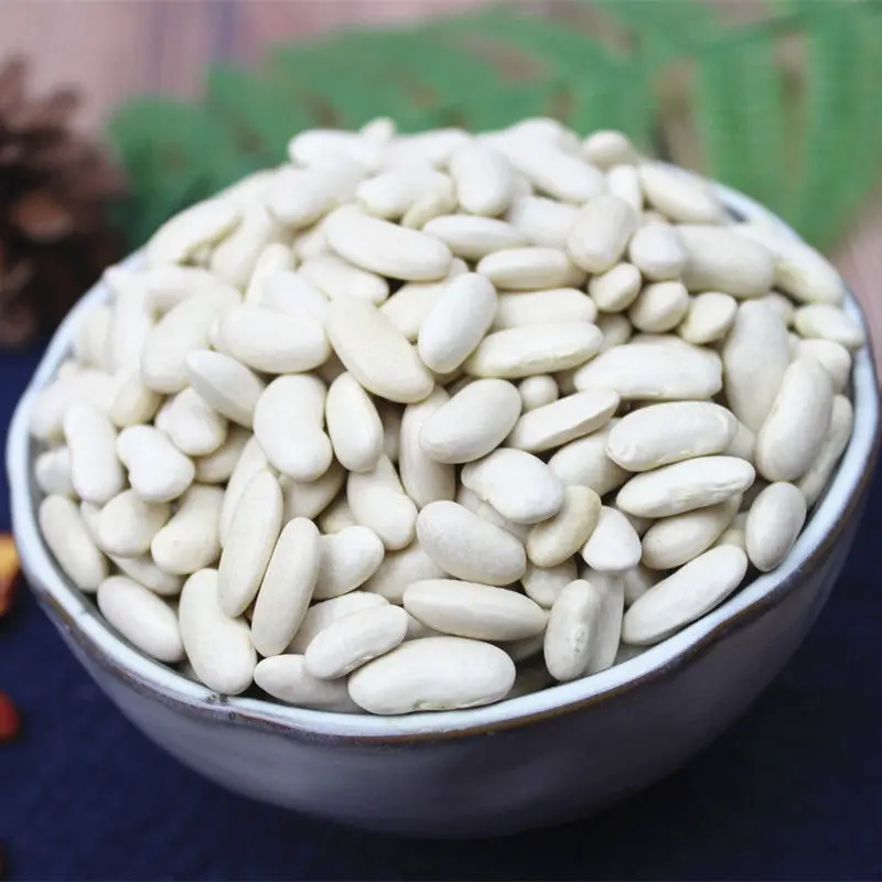 Export chinese organic white kidney beans new crop price