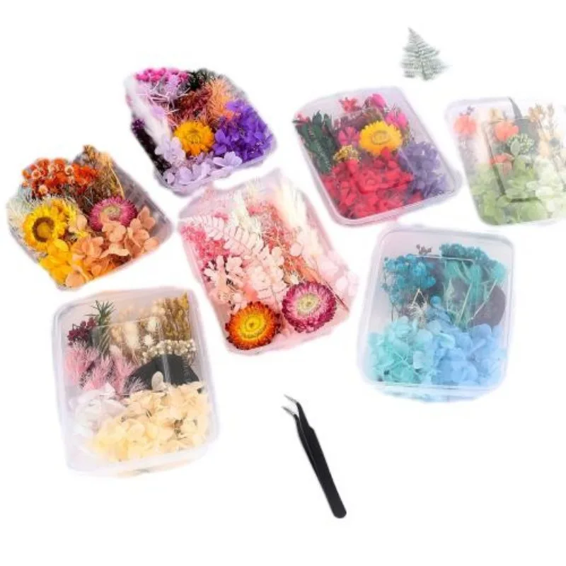 Wholesale Dried Set Crafts Random Colors  Flower Pressing Toys
