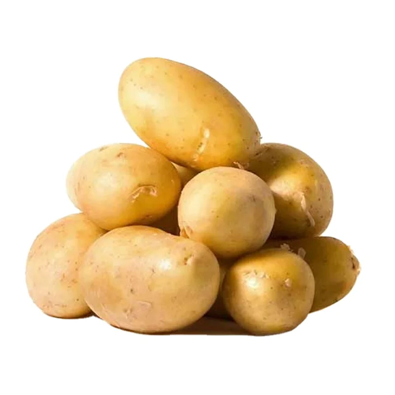 
Popular Vegetable 100% Organic Fresh Potato Export Wholesale Price From Bangladesh 