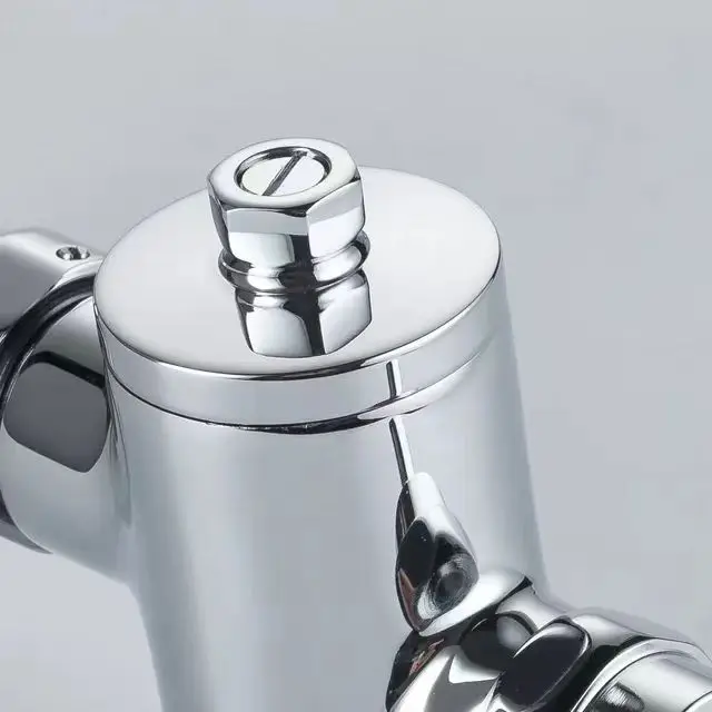 Modern Flusher Push Button Urinal Time Delay Manual Type For Close stool And Squatting Pan Flush Valve WC Flush Valve For Toilet