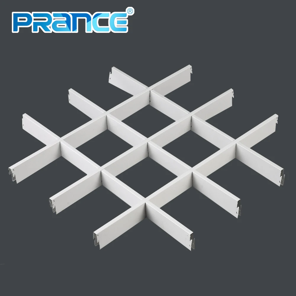 Open Ceiling with Mesh Cells/Building Aluminum Design