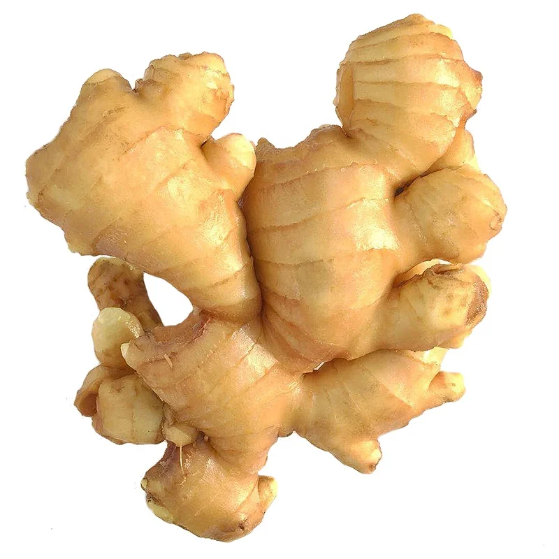 New Crop Ginger To Miami Export Price 1kg China Mature Fresh Ginger For Sale